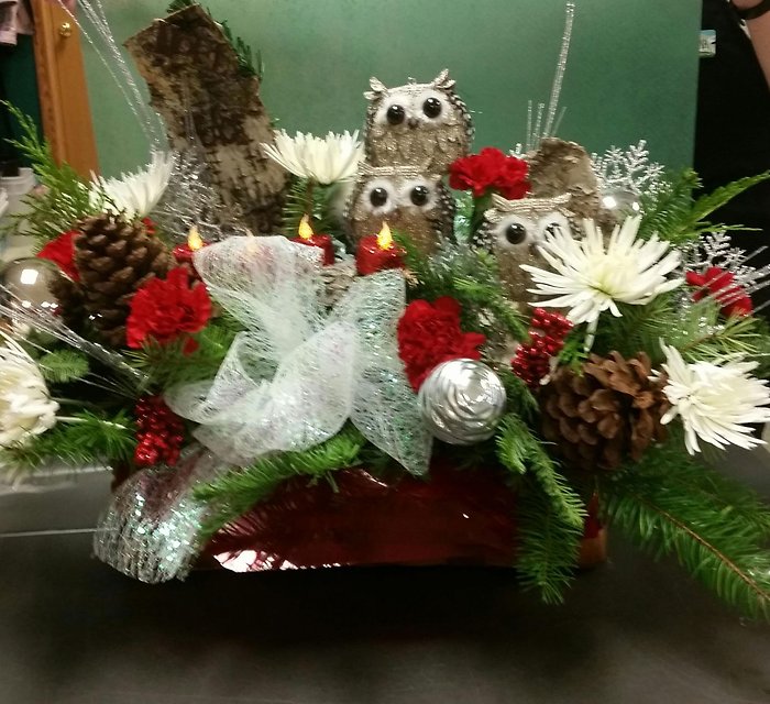 Owls in the Woods