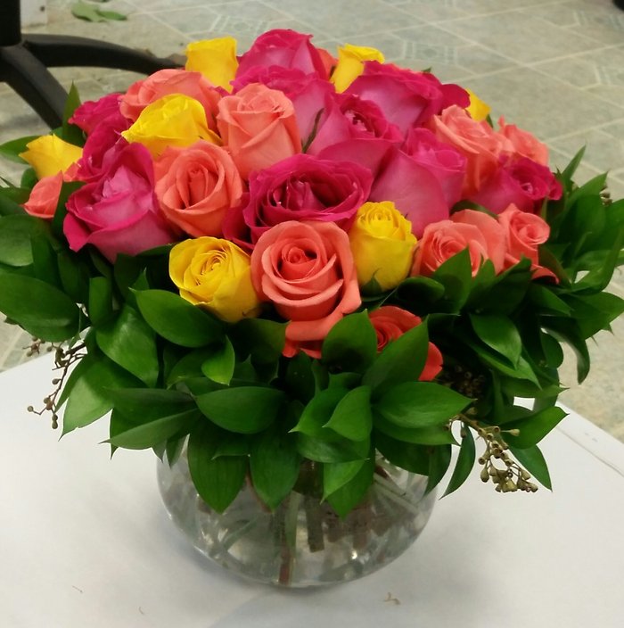 Modern Roses