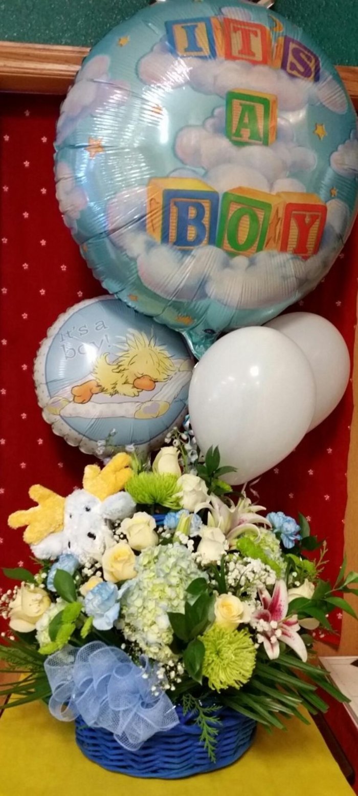 New Baby Basket